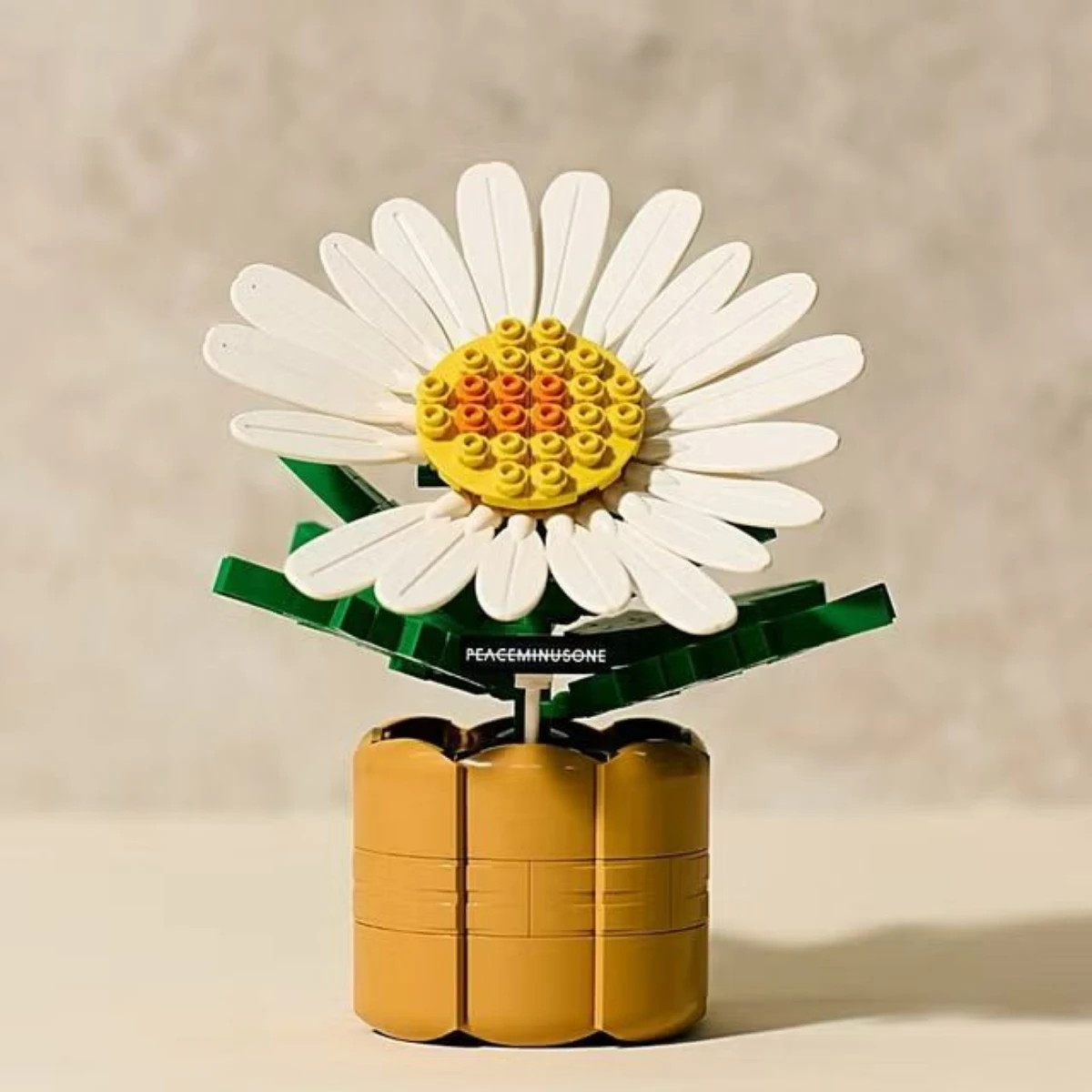 小雛菊積木