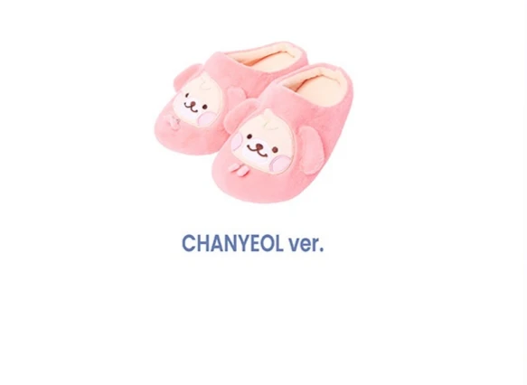 EXO ROOM SHOES