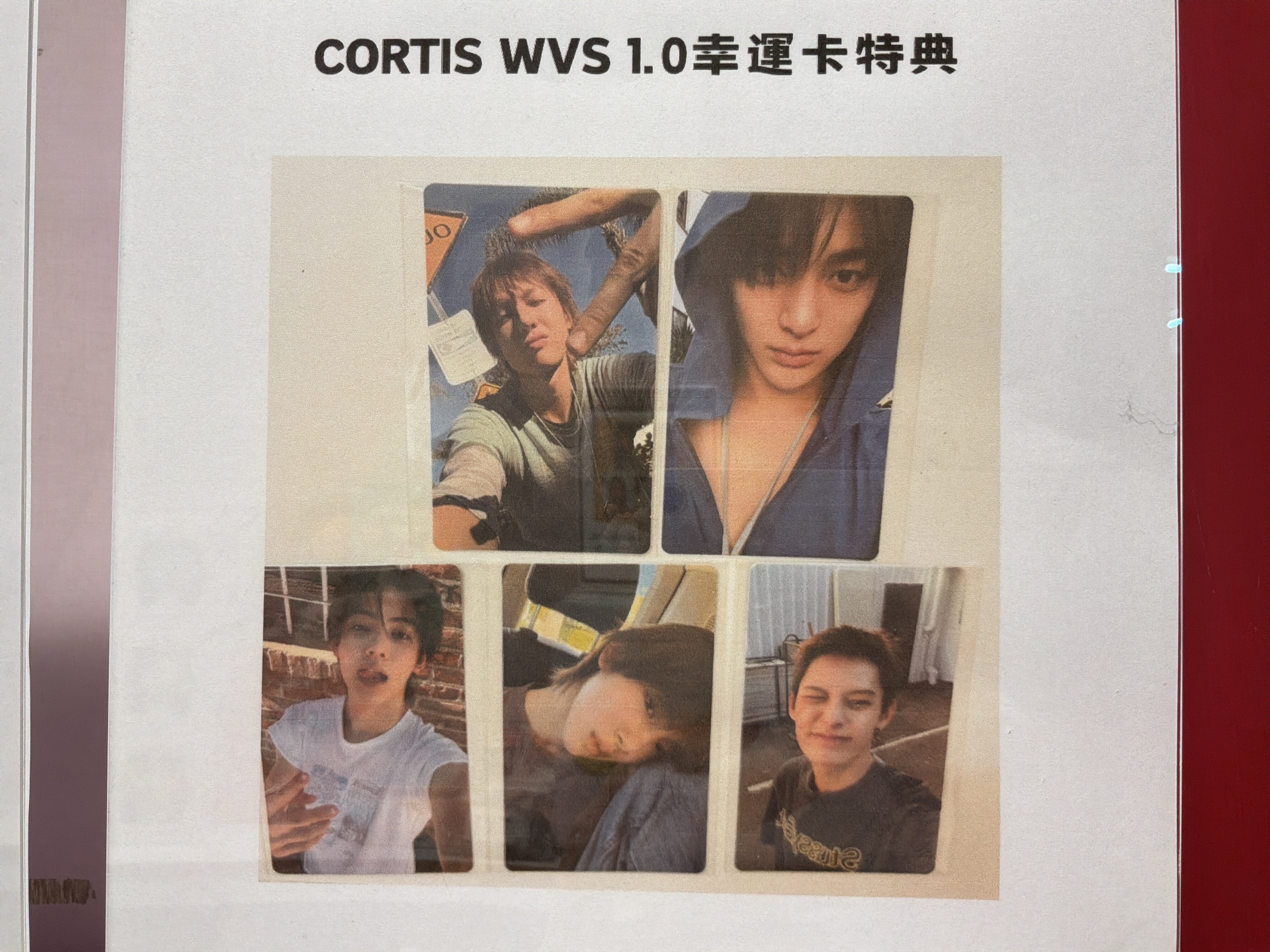[GREENGREEN] (Random）wvs 1.0特典（一卡一專）